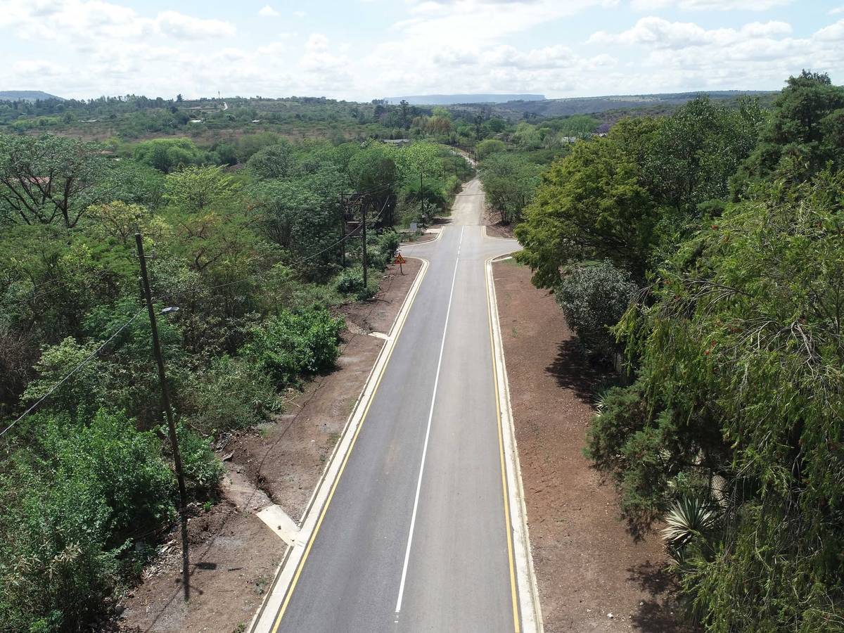 Completed tree-lined avenue road