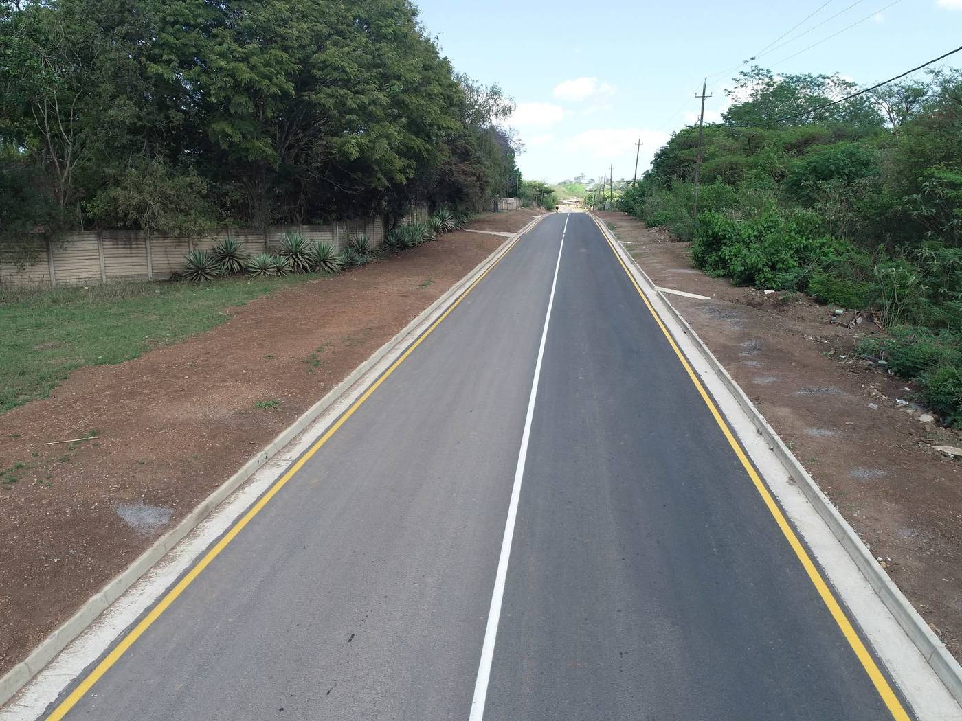 Paved road through a wooded rural area